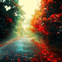 Amazing-fall-road-wide