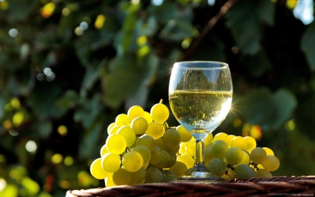 grapes and wine - white, grapes, glass, wine