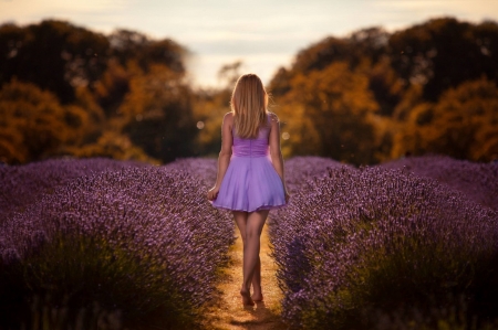 A New Dawn - purple, girl, walking, field, dress, lavender