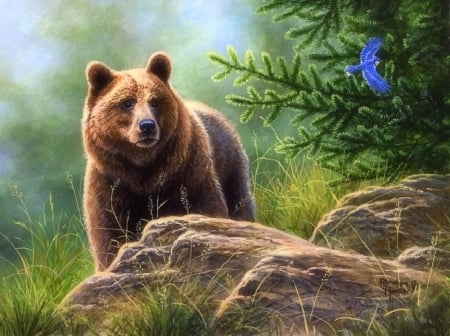 Big Grizzly Bear - attractions in dreams, wildlife, trees, forests, bear, animals, summer, rocks, bird, nature, love four seasons, paintings