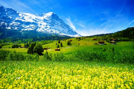 Mountainscape - swiss, sky, freshness, houses, landscape, mountain, hills, peaceful, greenery, meadow, village, view, mountainscape, beautiful, grass, wildflowers