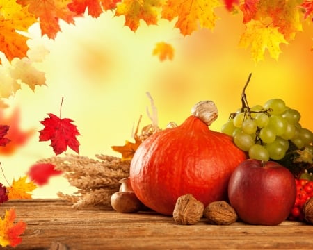 Autumn Still Life 3 - autumn, harvest, pumpkin, leaves, food, apples