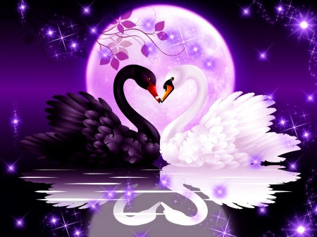 Until Eternity - Moon, Moonlight, Swan, Night