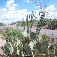 View from Boothill Cemetery, Tombstone, Arizona