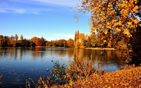 autumn lake - fun, nature, autumn, lake, forest, cool