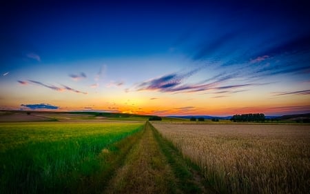 September - road, nature, sky, fields