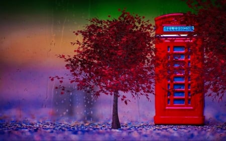 Autumn is calling - street, telephone, tree, rain