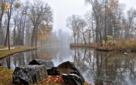 Backwater - backwater, trees, pond, stones