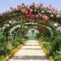 Hamamatsu Flower Park, Japan