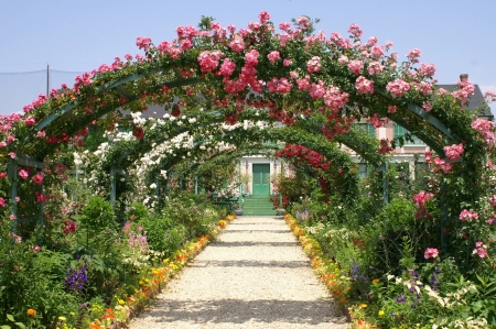 Hamamatsu Flower Park, Japan - path, roses, rosebows, blossoms, summer