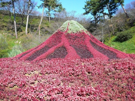 Hamamatsu Flower Park, Japan - volcano, colors, summer, flowers