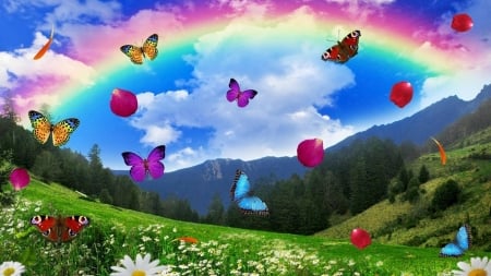 Splendid spring day - nature, rainbow, butterfly, field