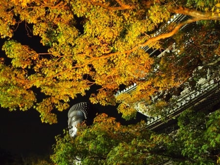 Autumn Temple - leaves, autumn, budha, temple