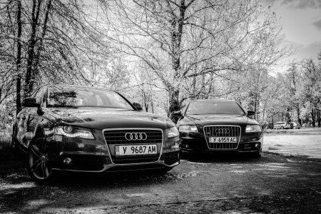 Audi A4 and A6 - a6, audi, a4, cars, bulgaria