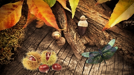 Chesnuts and Dragonflies - nuts, autumn, fall, dragonflies, leaves, chesnuts