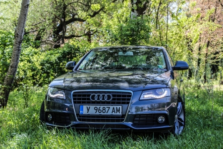 Audi A4 hounting it's prey - audi, car, a4, bulgaria