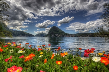 Scenery in Switzerland - nature, sky, lake, flowers