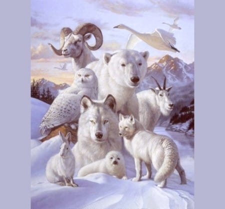 White - bird, bear, goat, white, fox, wolf