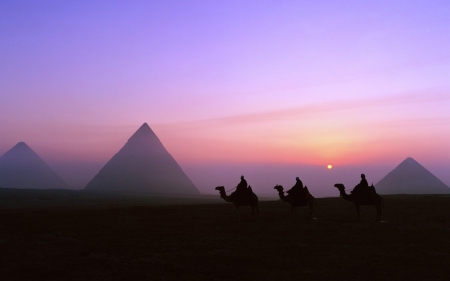 Egypt - egipt, camels, sunset, pyramids