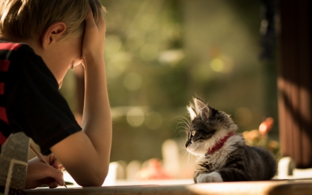 Waiting - waiting, child, cat, boy, pisica, animal, kitten, cute, learning