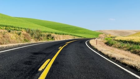 No Passing - highway, curve, road, yellow line, field