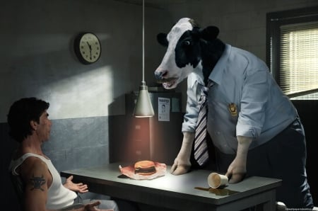 udder arrest - funny, animals, cows, humour