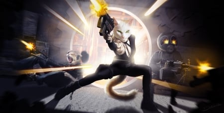 ready aim fire - cats, animal, funny, humour