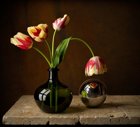 TULIPS - vase, petals, colors, stem