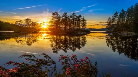 Heater in sunset - heat, sky, trees, water, sunset, glow, amazing, fiery, reflection, beautiful, island, sea, wildflowers