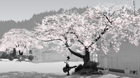 Spring - sakura, girl, spring, flower, pink, tree, emukami, black, instrument