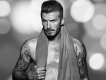 David Beckam