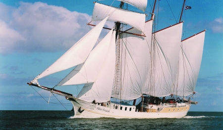 Sailing - clouds, sea, sails, sailboat