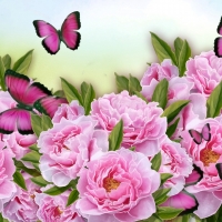 Peonies and Butterflies