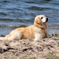 at the beach