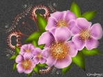 FRACTAL FLOWERS