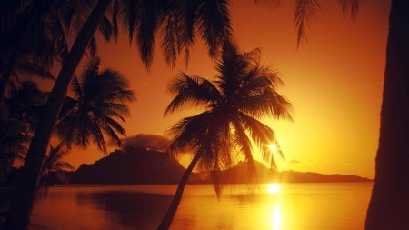 Polynesian Sunset - palms, beach, sea, reflection, sun