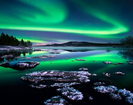 Night lite - sky, northern lights, north, green