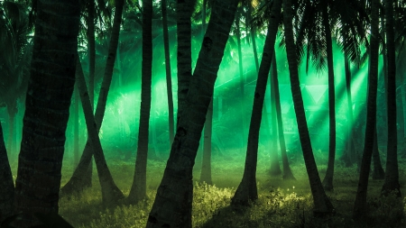 Mysterious LIght - Firefox Persona theme, trees, green, lights, forest, mysterious, woods