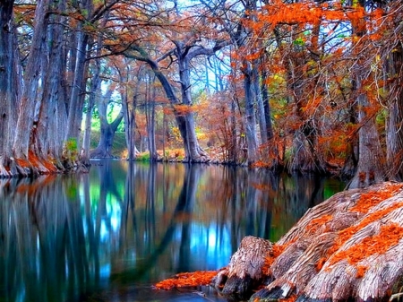 Autumn glory - water, colors, autumn, trees