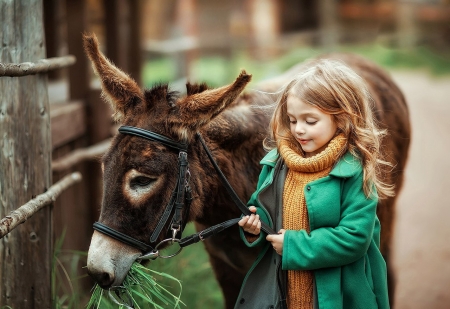 â™¥ - photography, animal, girl, green