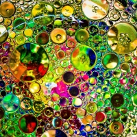 Oil bubbles in water