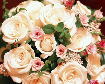 Bouquet of roses - white, flower, rose, pink, bouquet, bride