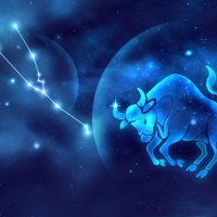 Zodiac ~ Taurus