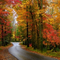 Autumn in Smoky Mountains, North Carolina