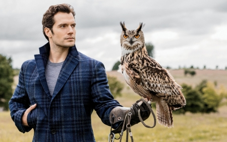 Henry Cavill - man, blue, actor, owl, henry cavill, pasare, bird