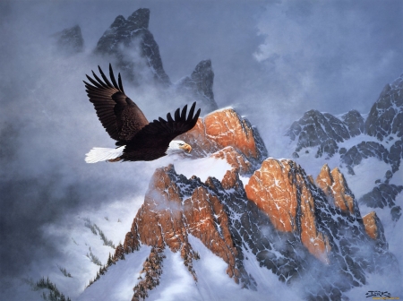 Eagle Flying in The Mountains - bird, winter, majestic, flying, snow, Eagles, mountains