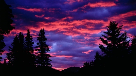 Stormy Sunrise in Canada - colors, sky, trees, clouds