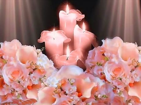 Petals in pink - flame, flowers, candles, display