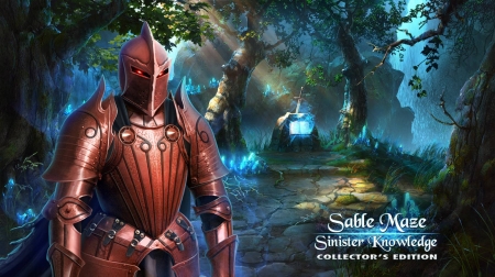 Sable Maze 6 - Sinister Knowledge11 - fun, puzzle, hidden object, cool, video games