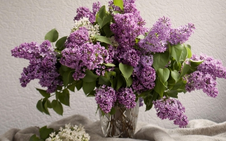 FLOWERS - vase, leaves, purple, petals